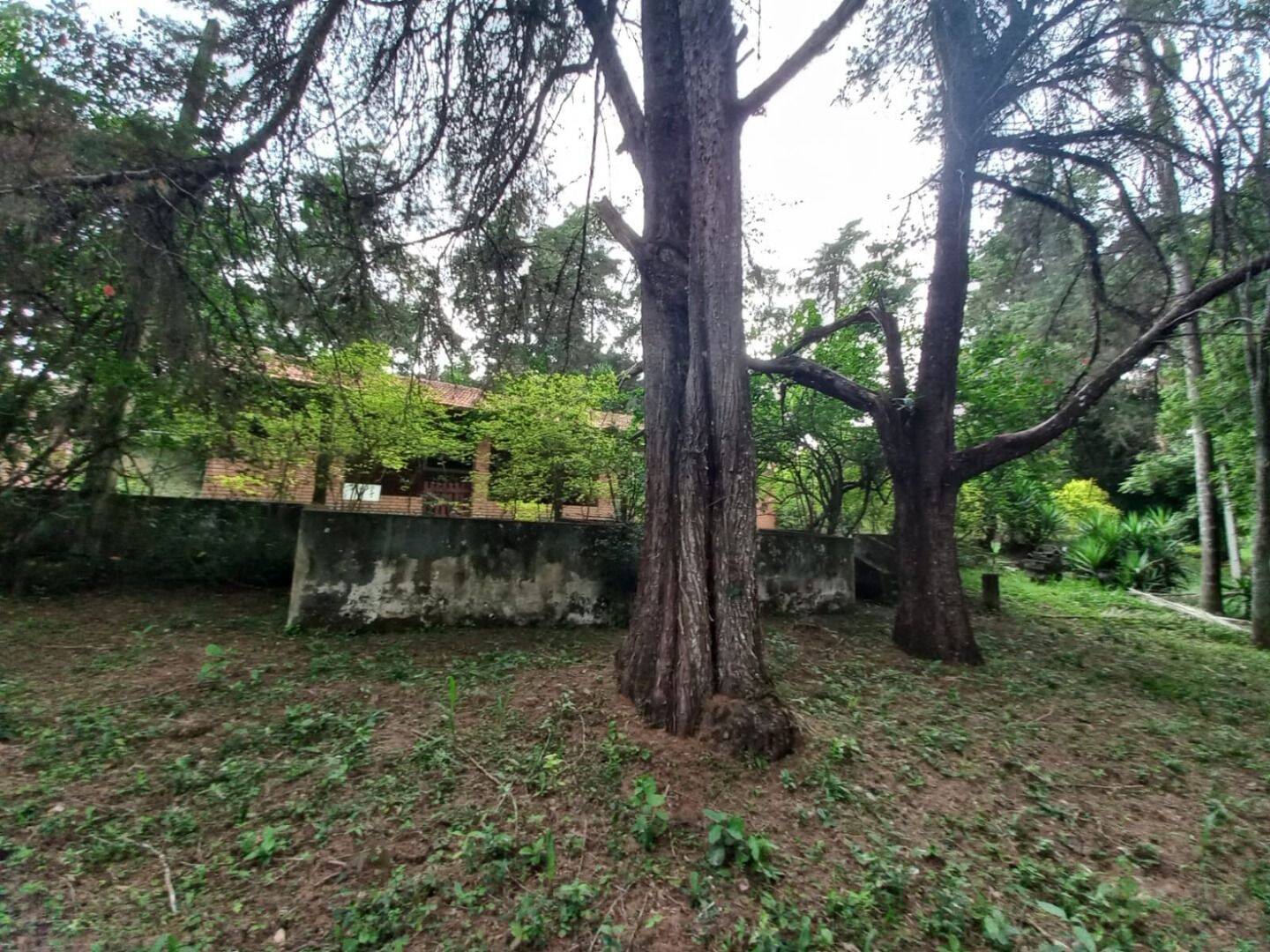 Prédio Inteiro - Foto 15