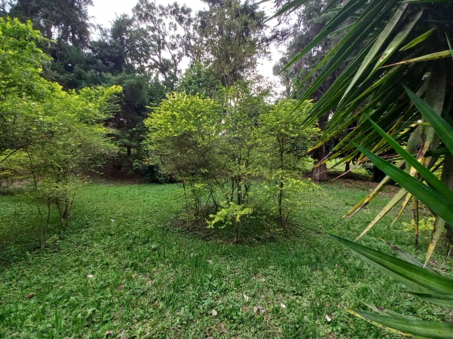 Prédio Inteiro - Foto 16