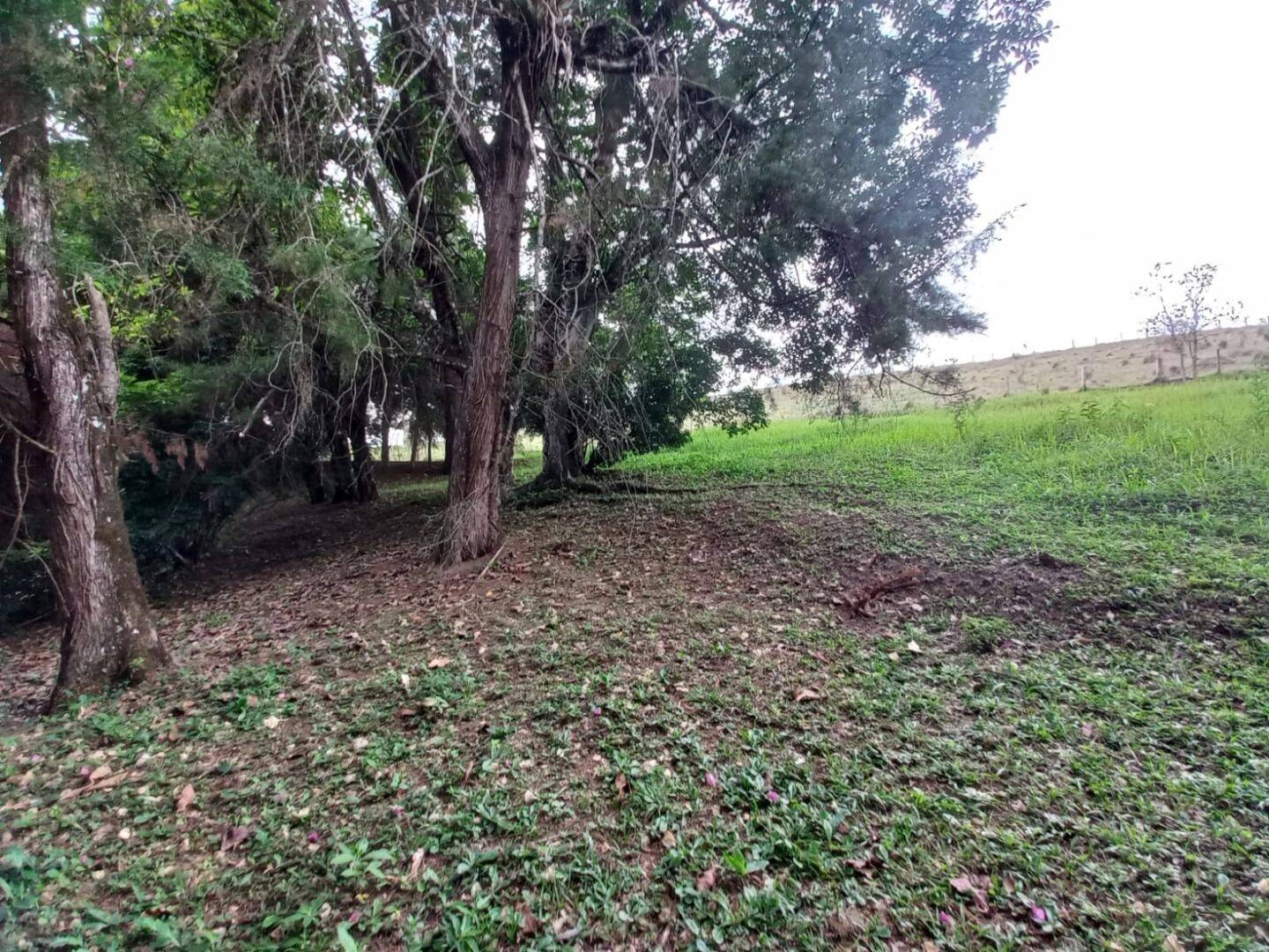 Prédio Inteiro - Foto 20