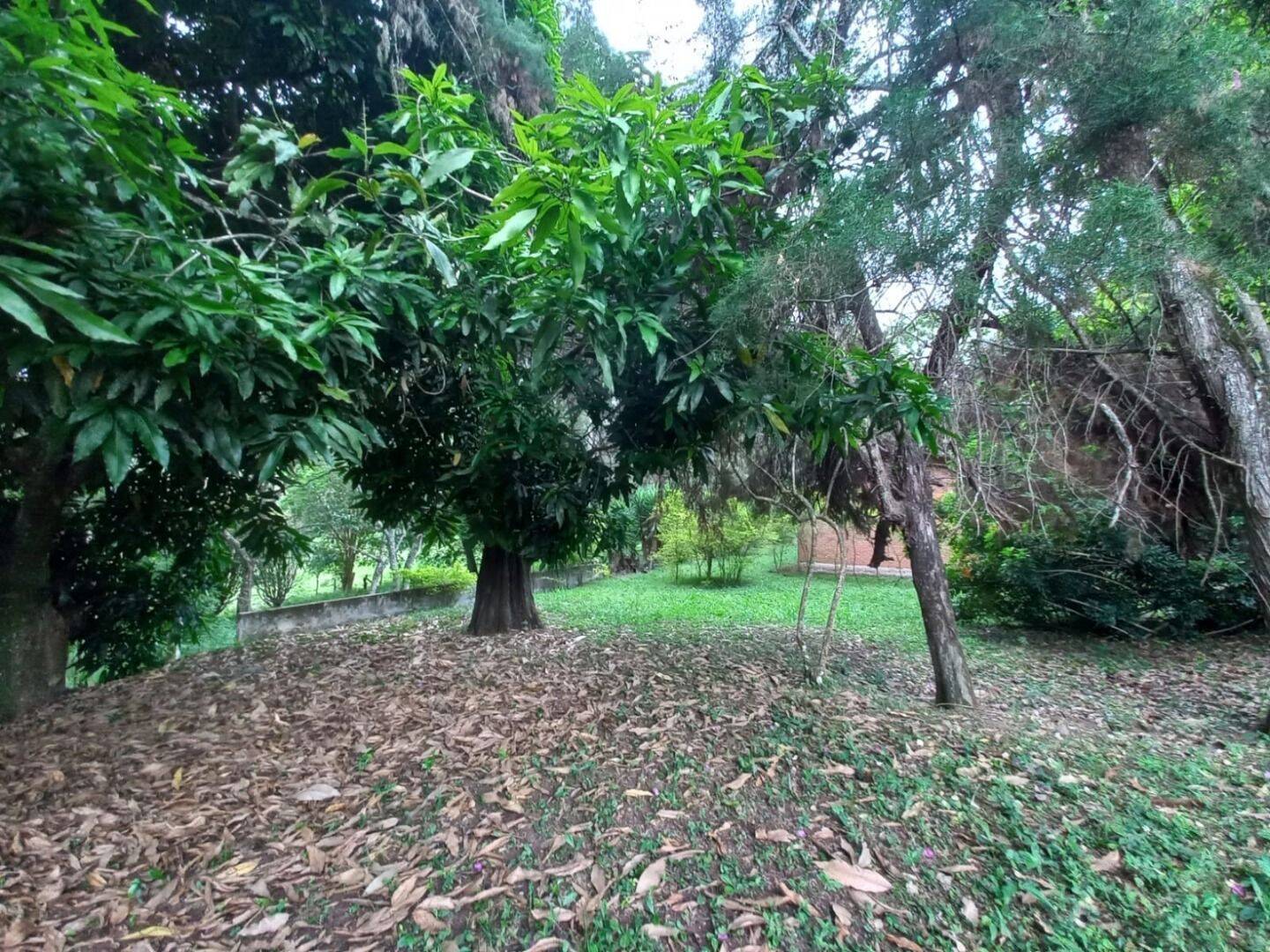 Prédio Inteiro - Foto 28