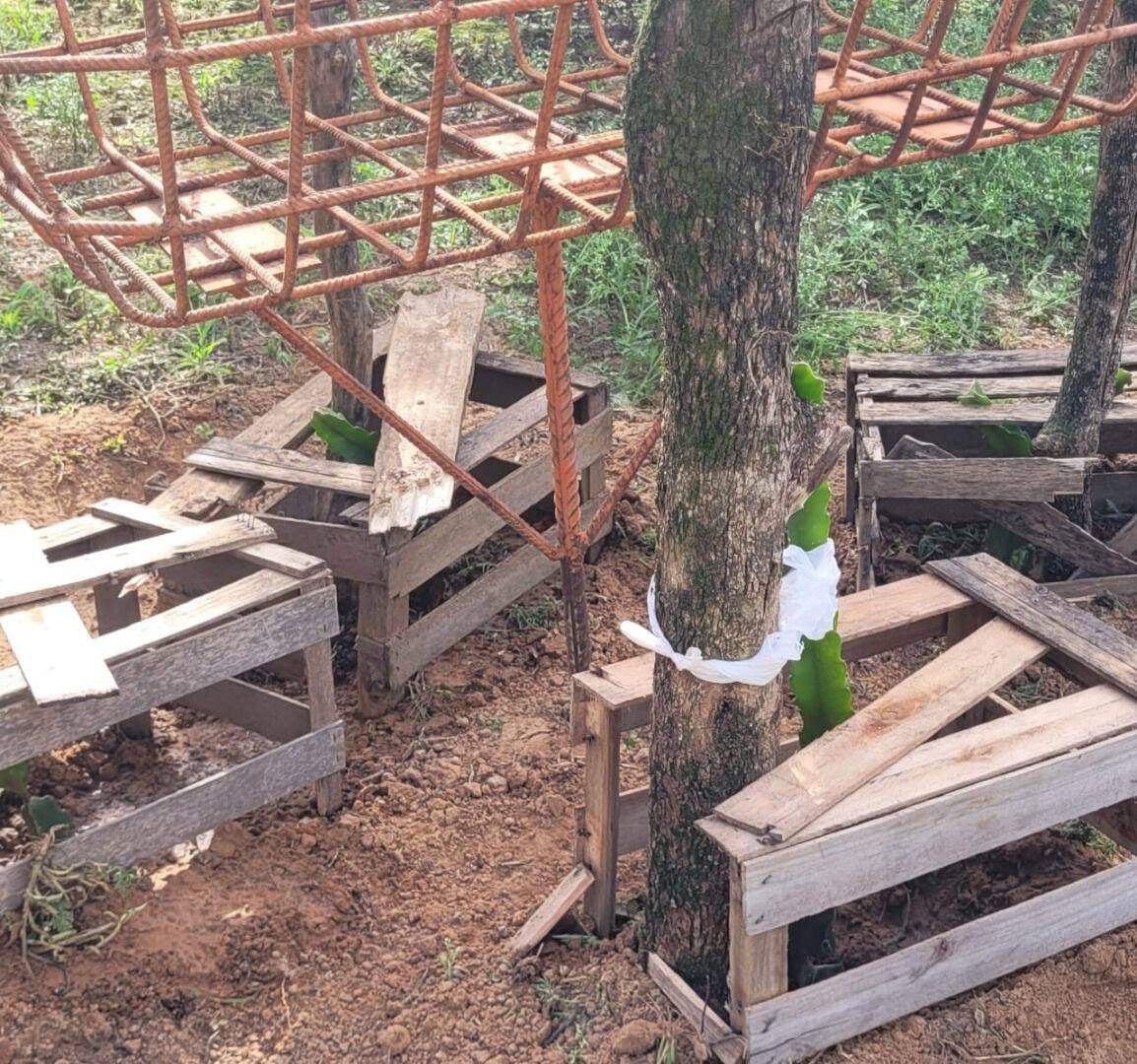 Terreno, 4 hectares - Foto 21