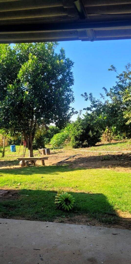 Terreno, 4 hectares - Foto 24