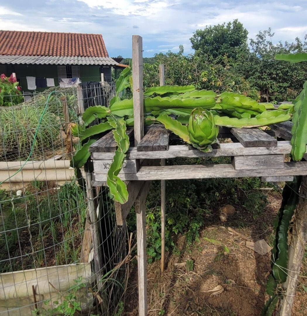 Terreno, 4 hectares - Foto 31