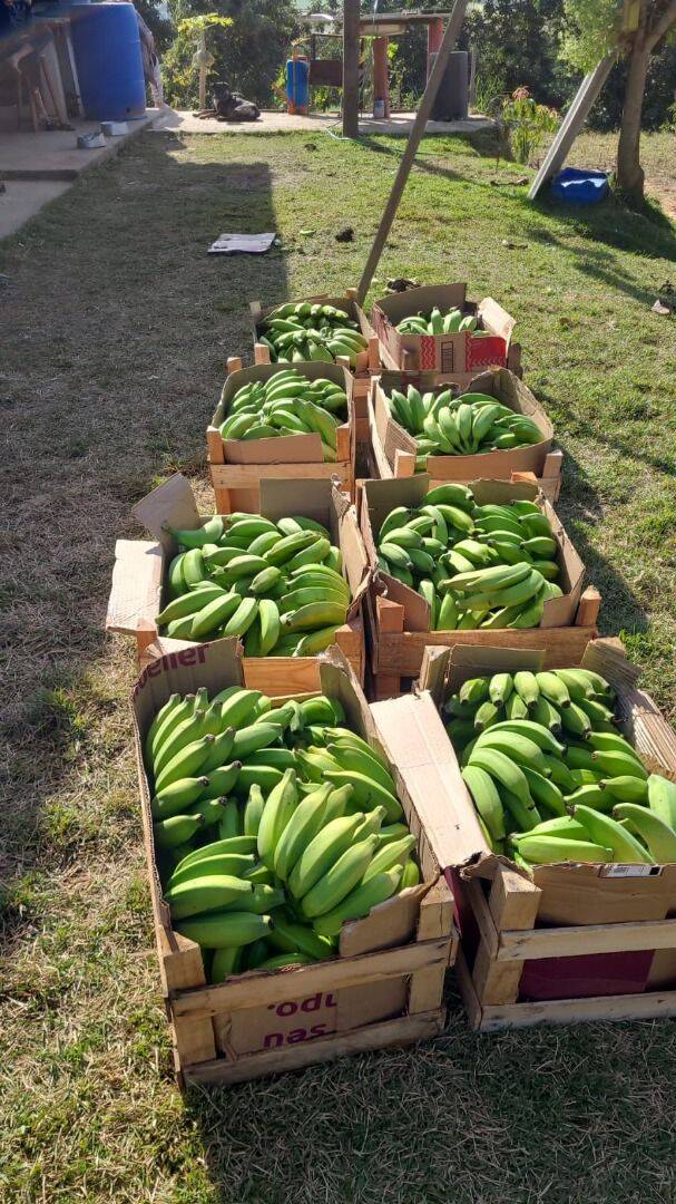 Terreno, 4 hectares - Foto 33