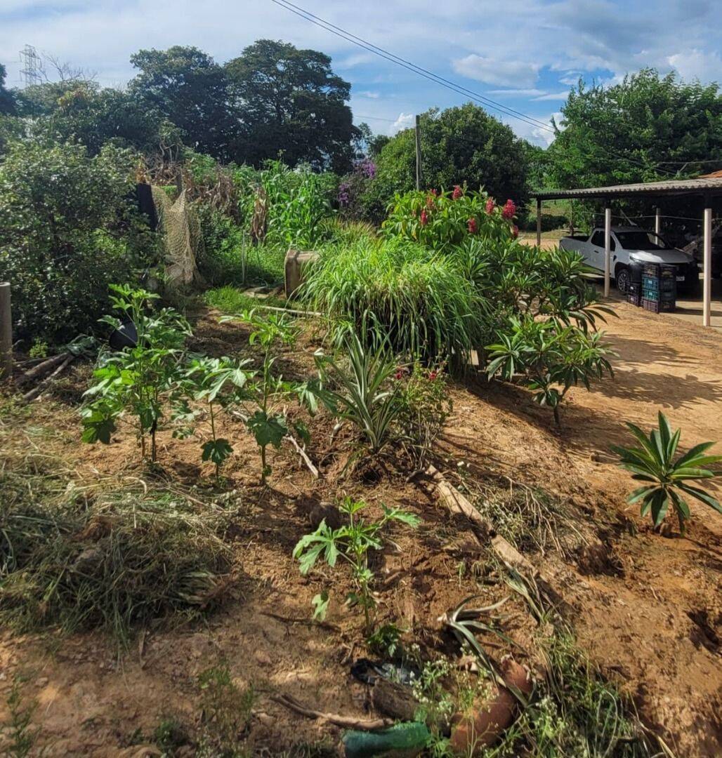 Terreno, 4 hectares - Foto 40