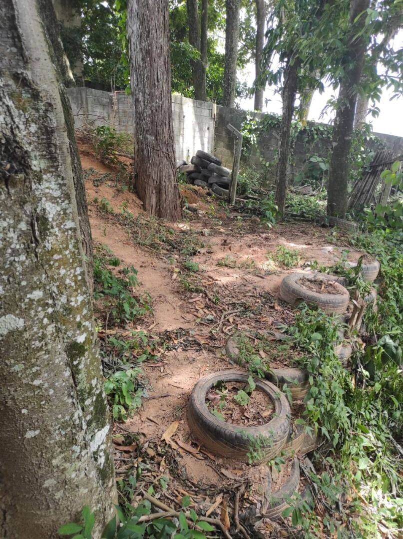 Chácara, 4 quartos, 1065 m² - Foto 44