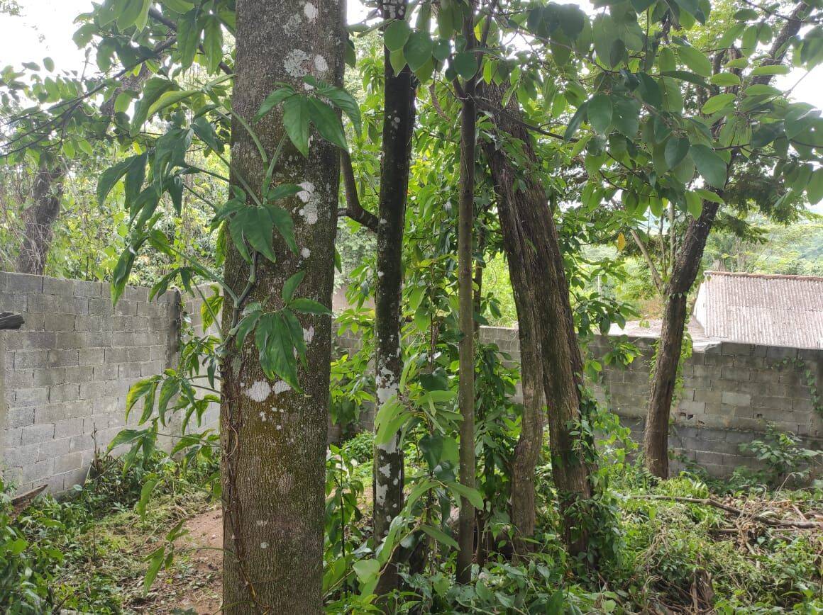 Chácara, 4 quartos, 1065 m² - Foto 45