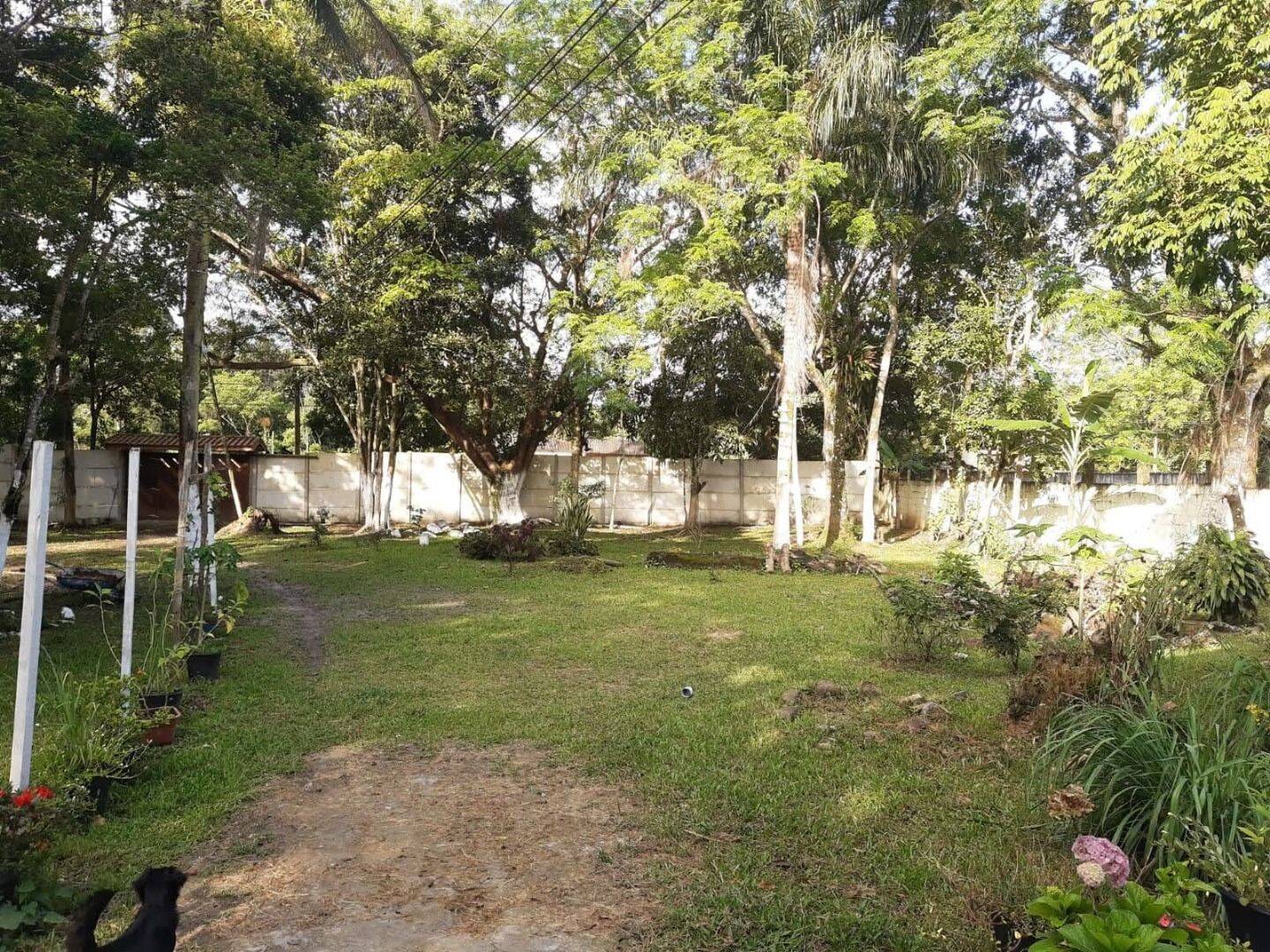 Chácara, 5 quartos, 7000 m² - Foto 4