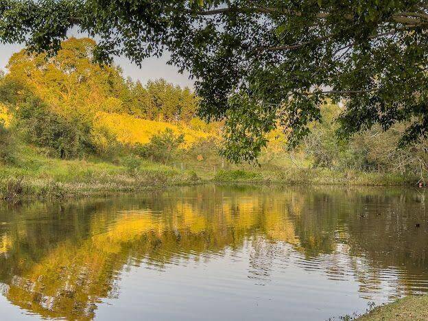 Chácara, 5 quartos, 2000 m² - Foto 29