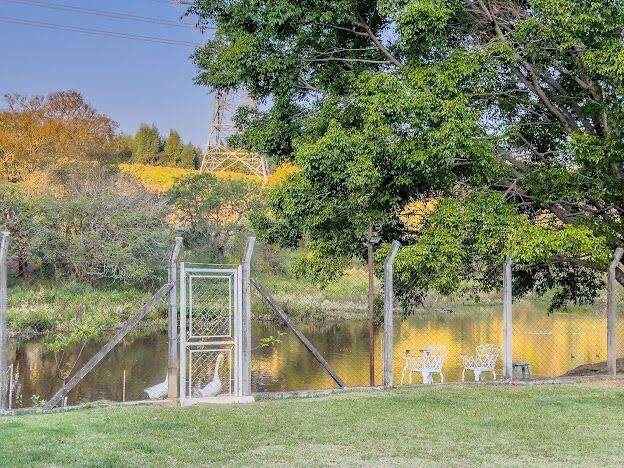 Chácara, 5 quartos, 2000 m² - Foto 30