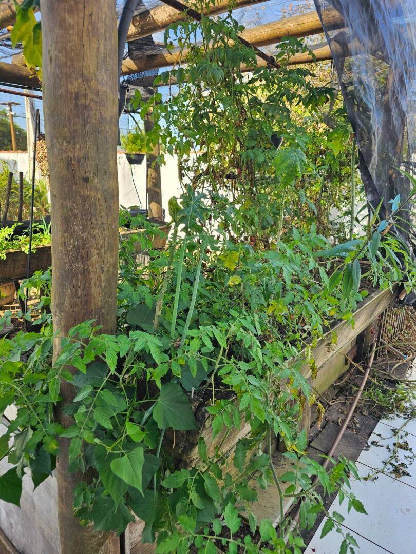 Casa, 1 quarto, 80 m² - Foto 12