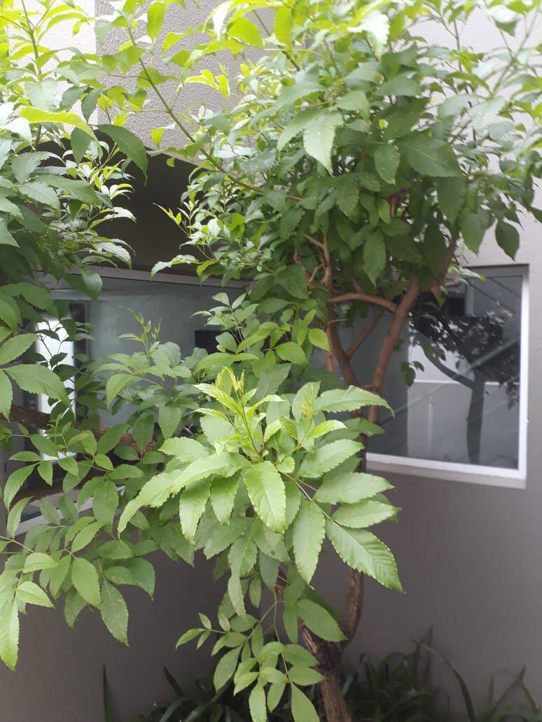 Sobrado, 3 quartos, 140 m² - Foto 48