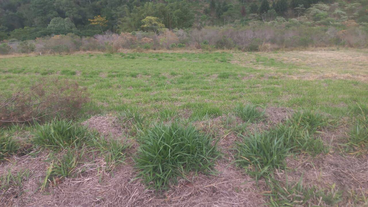 Terreno, 1000 m² - Foto 5