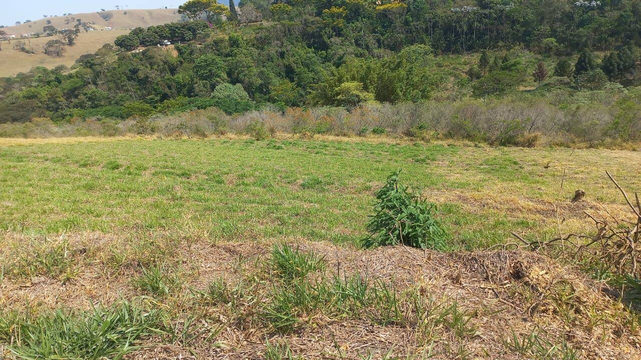 Terreno, 1000 m² - Foto 3