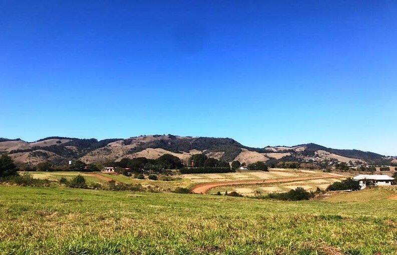 Terreno, 1000 m² - Foto 6