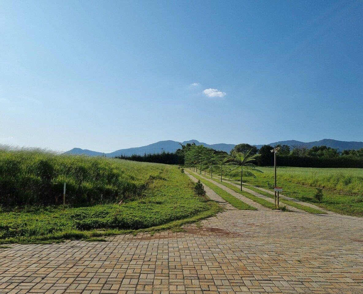 Terreno, 1000 m² - Foto 7