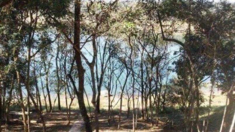 Chácara, 3 quartos, 1100 m² - Foto 6