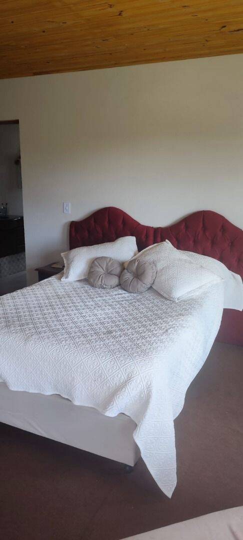 Chácara, 3 quartos, 1263 m² - Foto 15