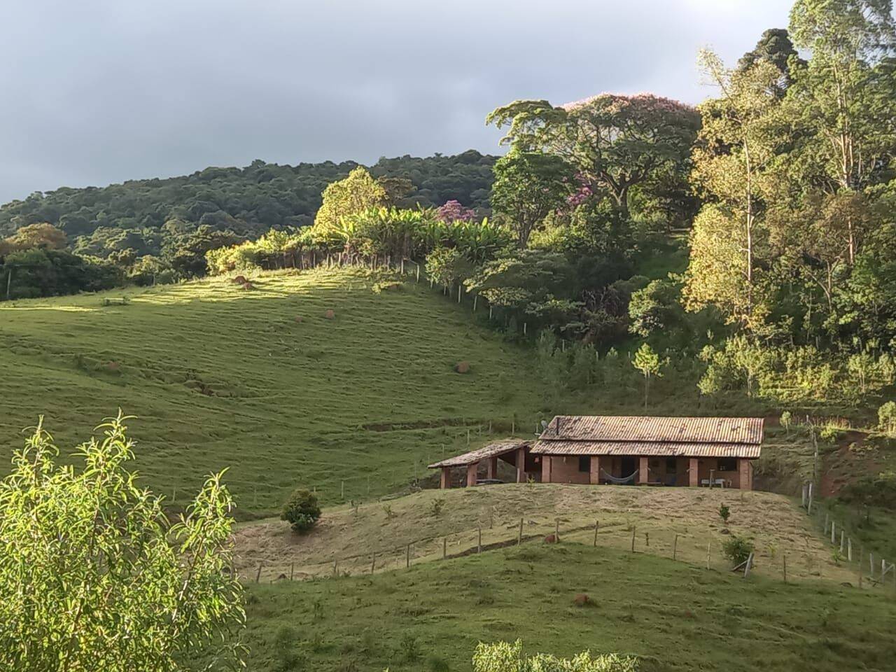 Sítio, 3 quartos, 4 hectares - Foto 9
