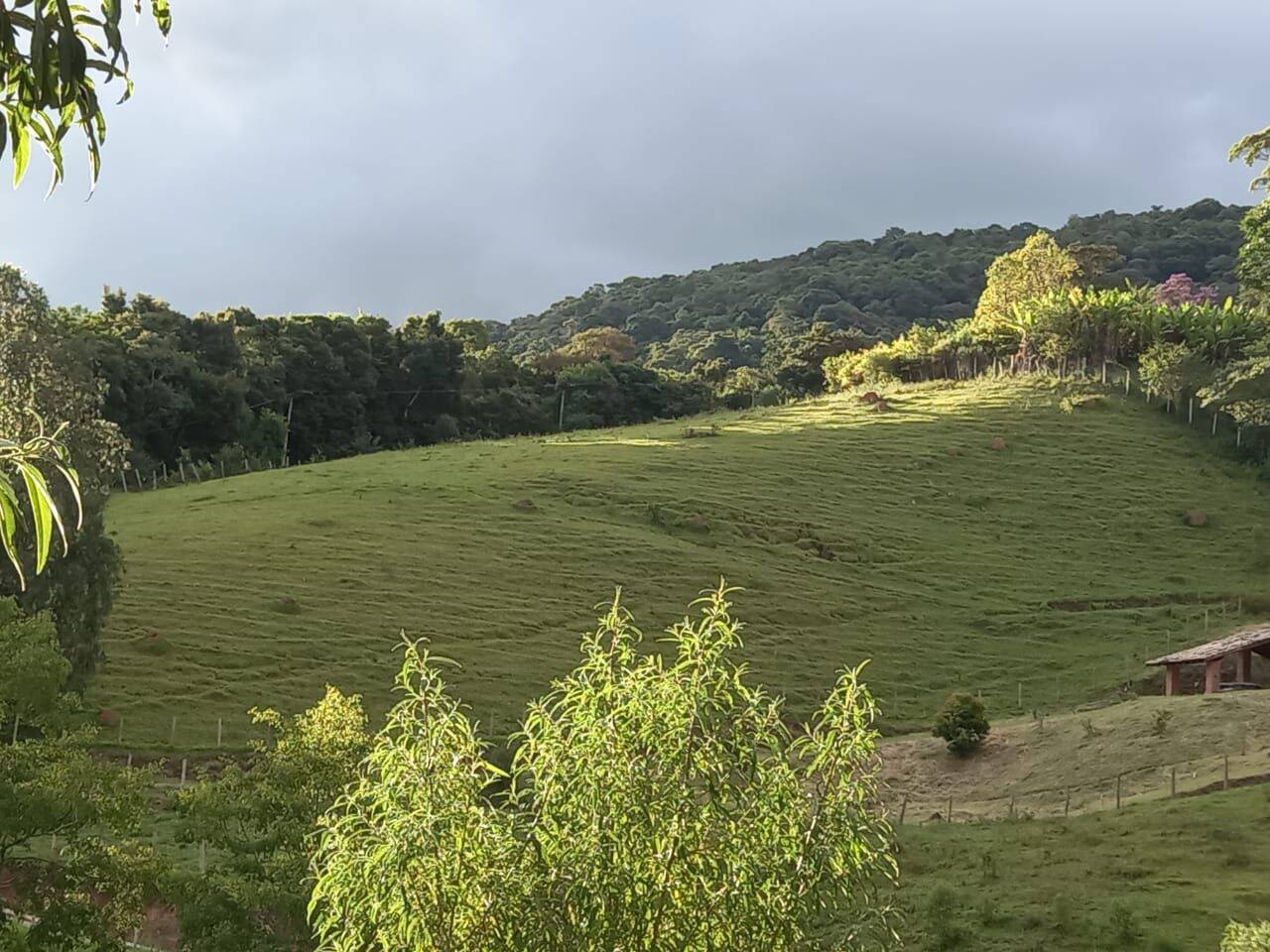 Sítio, 3 quartos, 4 hectares - Foto 10