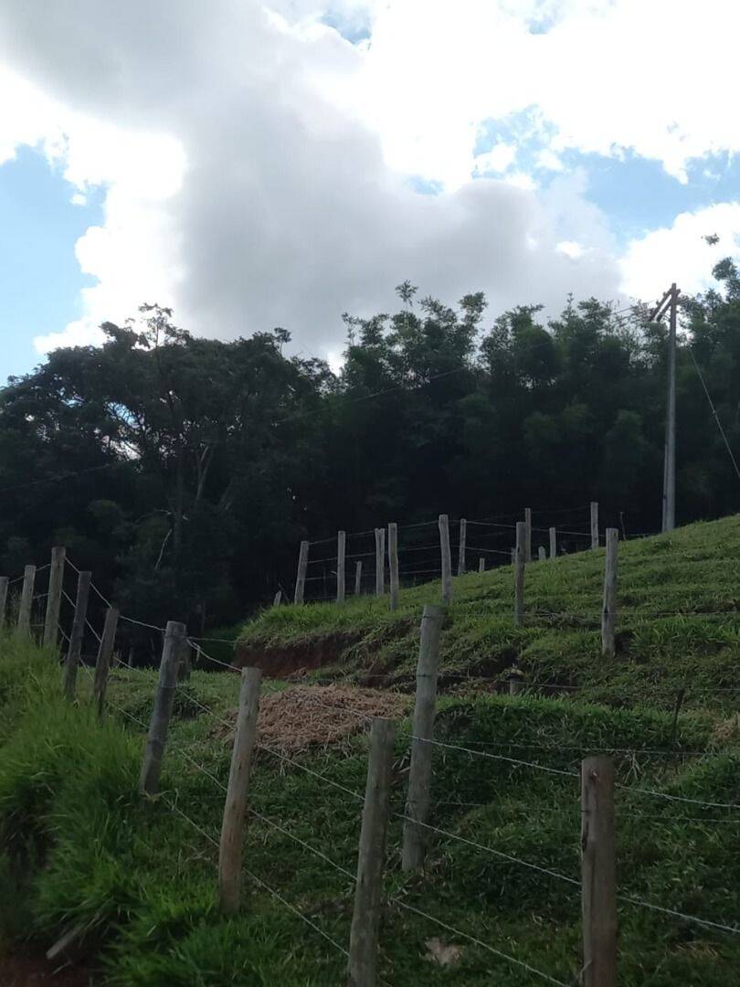 Sítio, 3 quartos, 4 hectares - Foto 15
