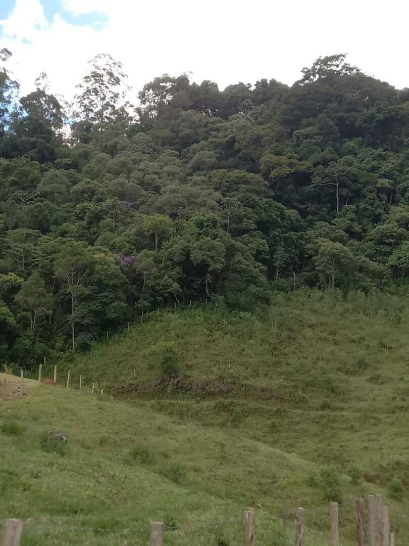 Sítio, 3 quartos, 4 hectares - Foto 16