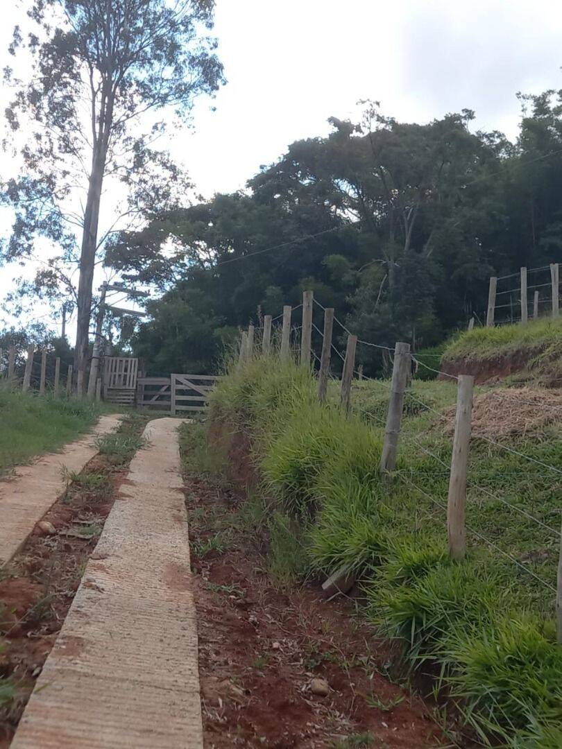 Sítio, 3 quartos, 4 hectares - Foto 17
