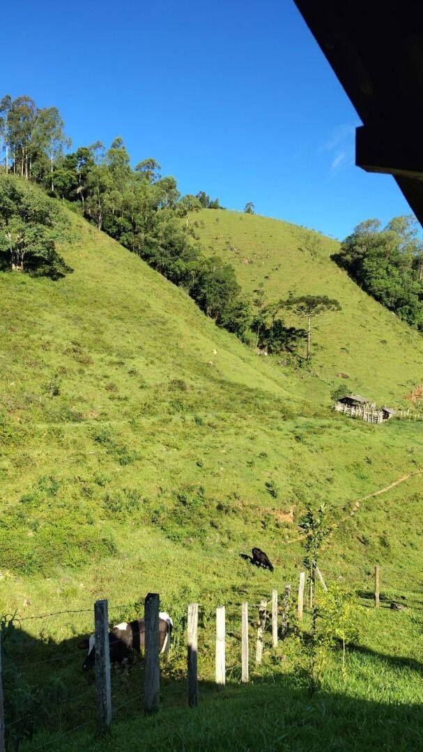 Sítio, 3 quartos, 4 hectares - Foto 36