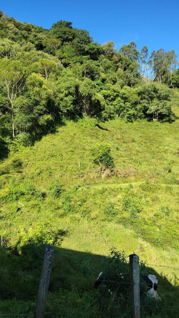 Sítio, 3 quartos, 4 hectares - Foto 40