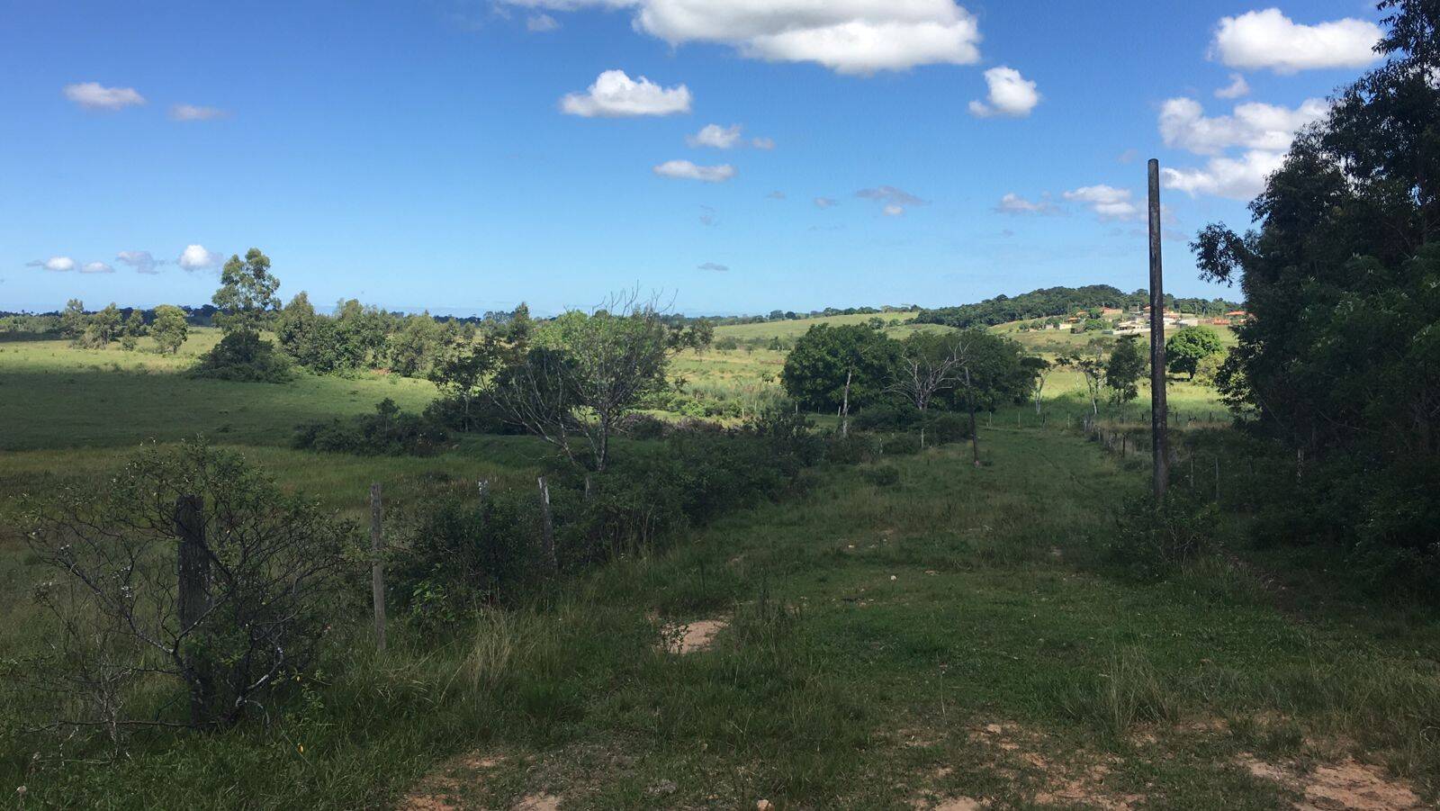 Terreno, 126 hectares - Foto 9