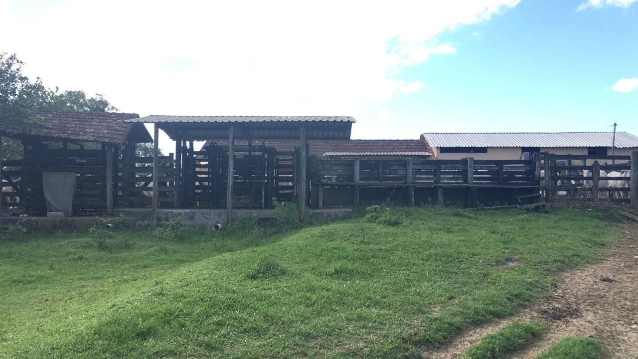 Terreno, 126 hectares - Foto 10