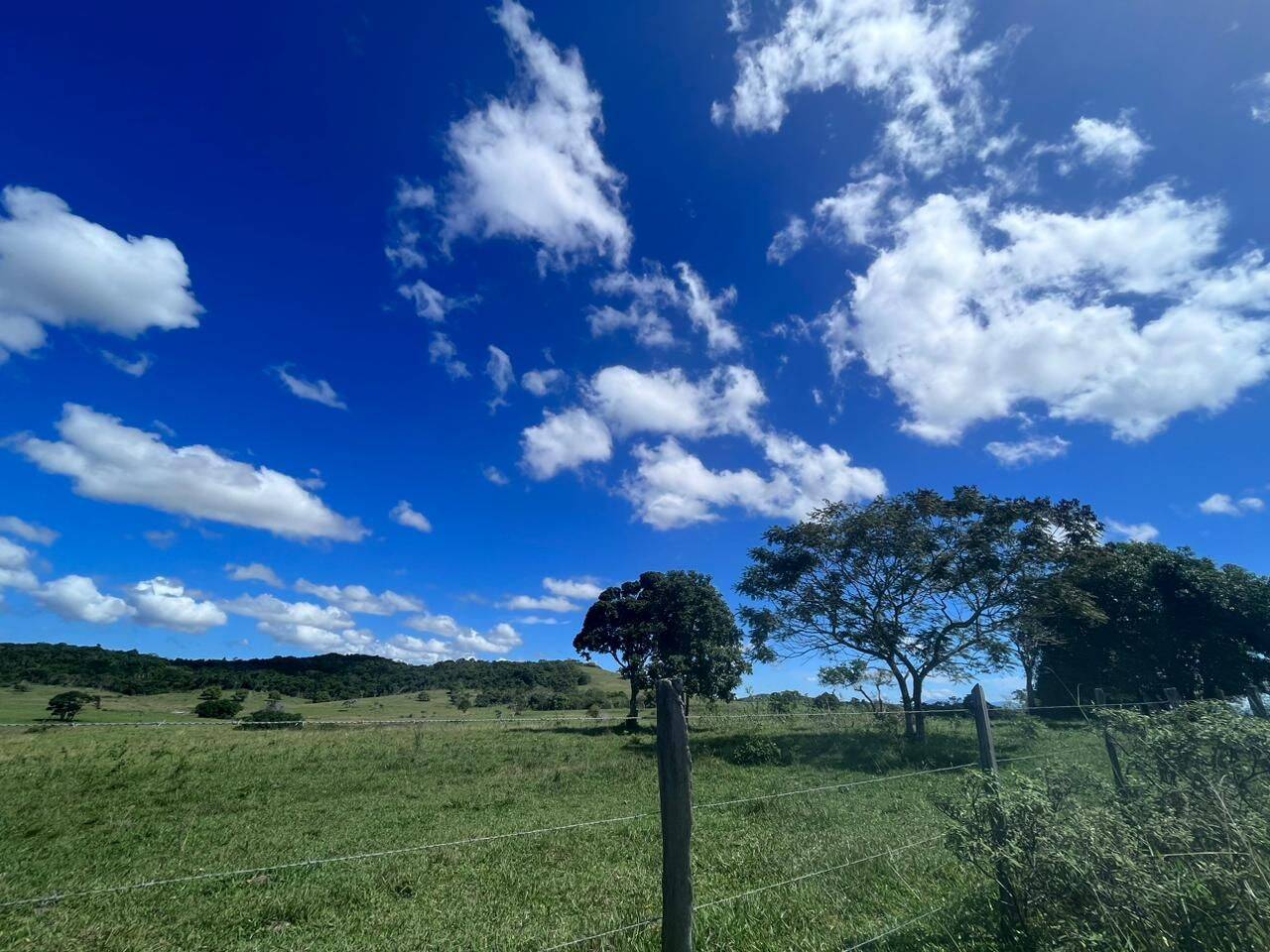 Terreno, 126 hectares - Foto 14