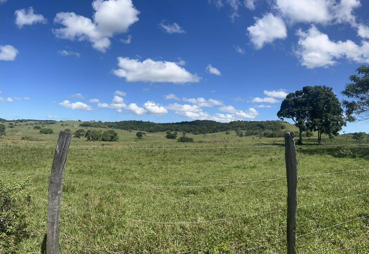 Terreno, 126 hectares - Foto 15