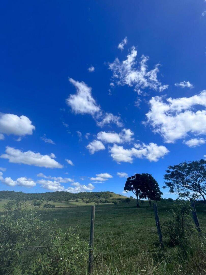 Terreno, 126 hectares - Foto 16
