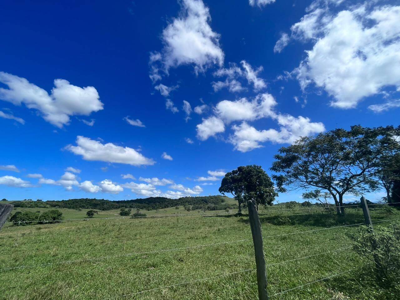 Terreno, 126 hectares - Foto 17