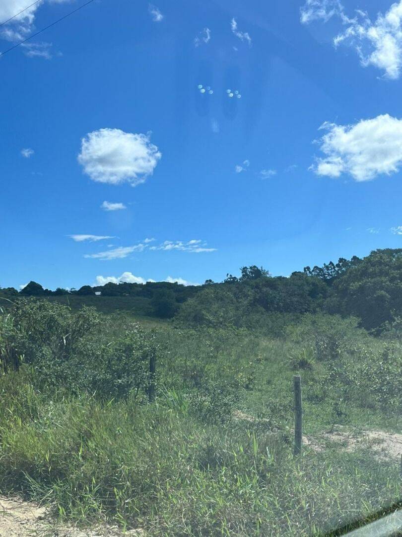 Terreno, 126 hectares - Foto 18
