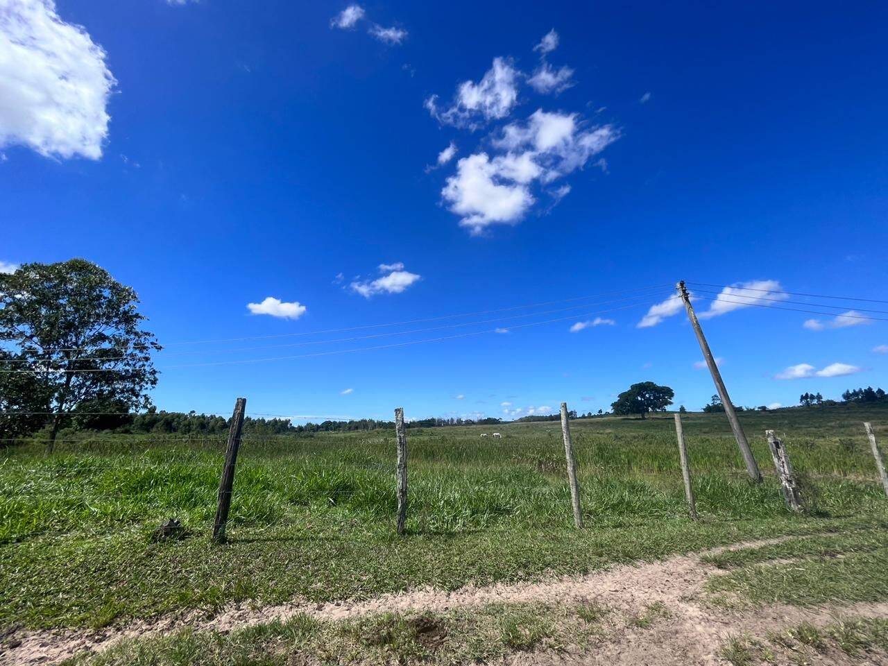 Terreno, 126 hectares - Foto 26