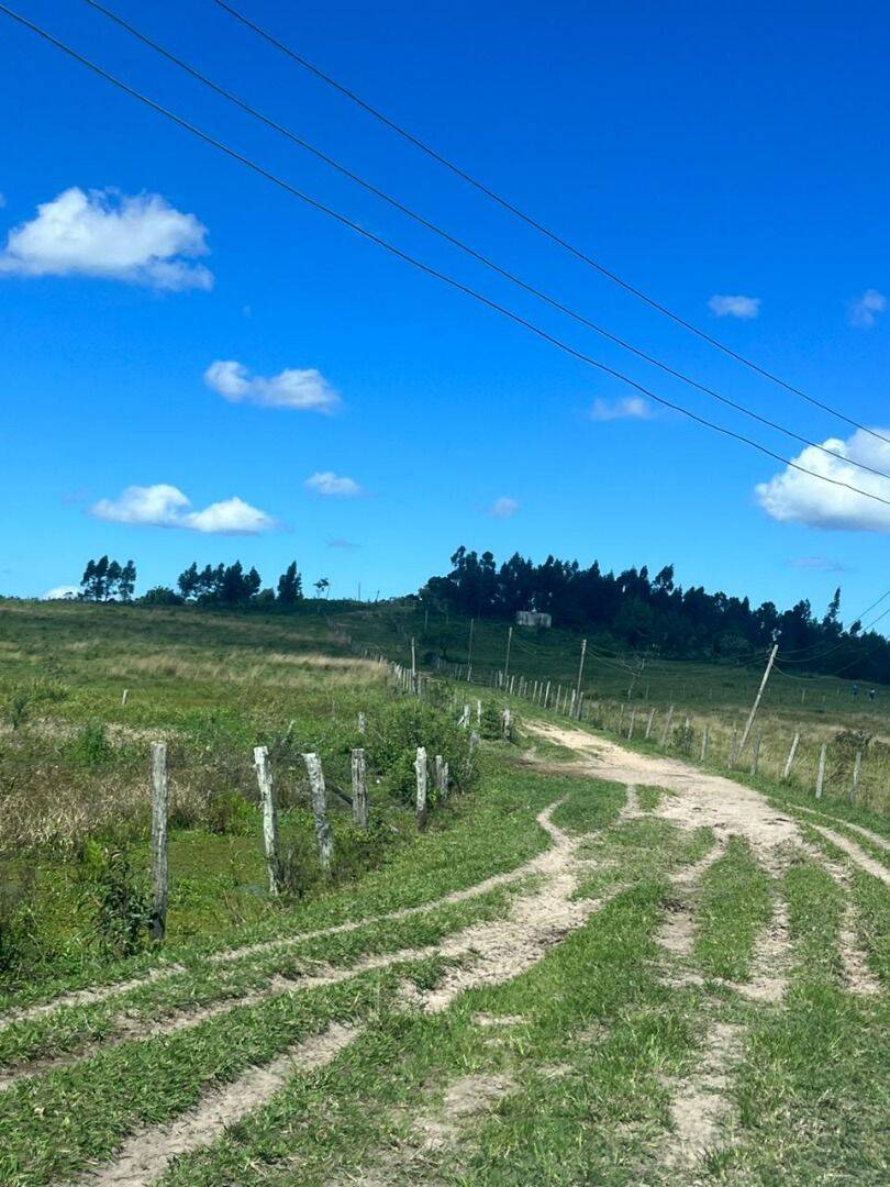 Terreno, 126 hectares - Foto 27