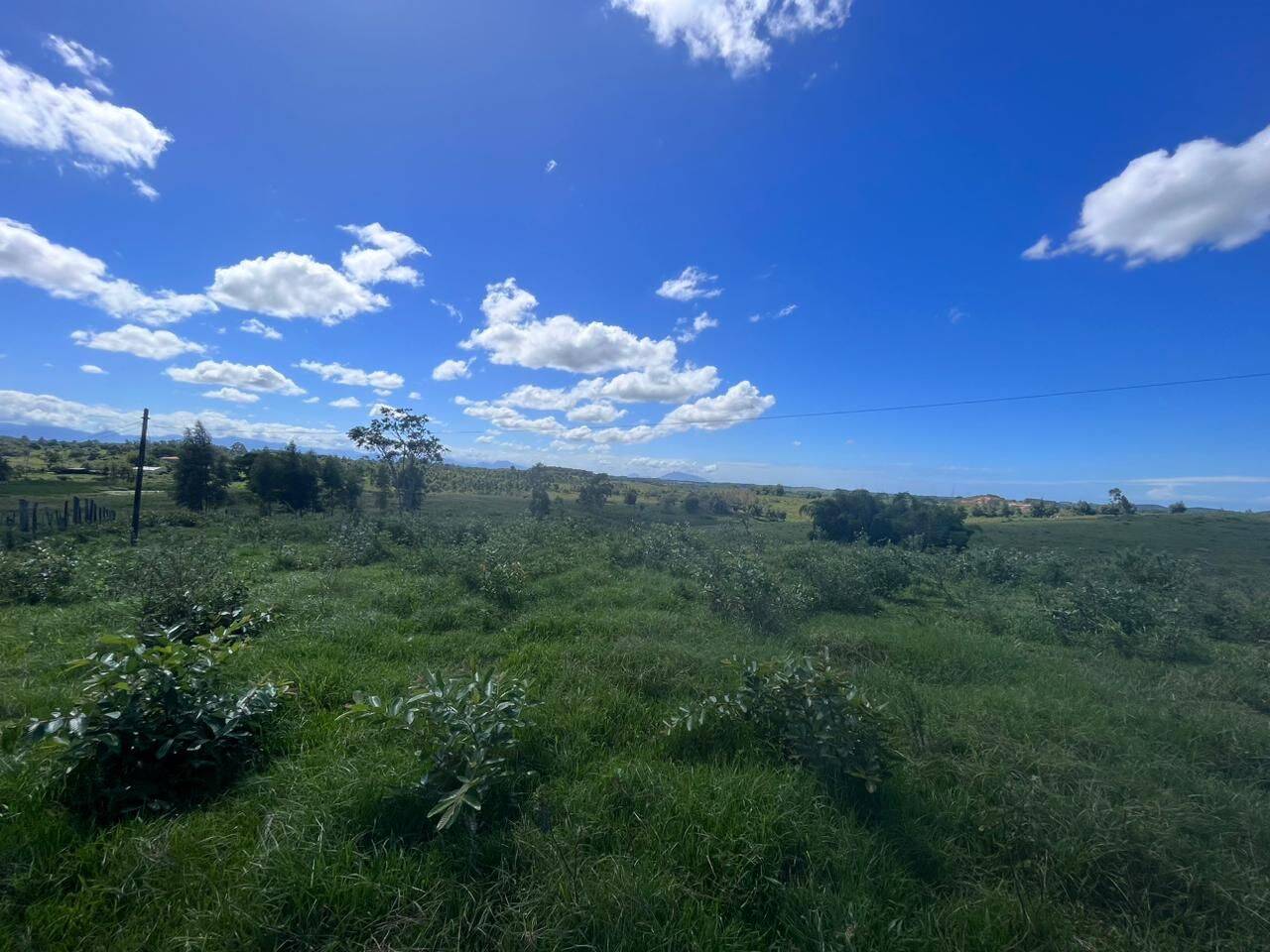 Terreno, 126 hectares - Foto 30