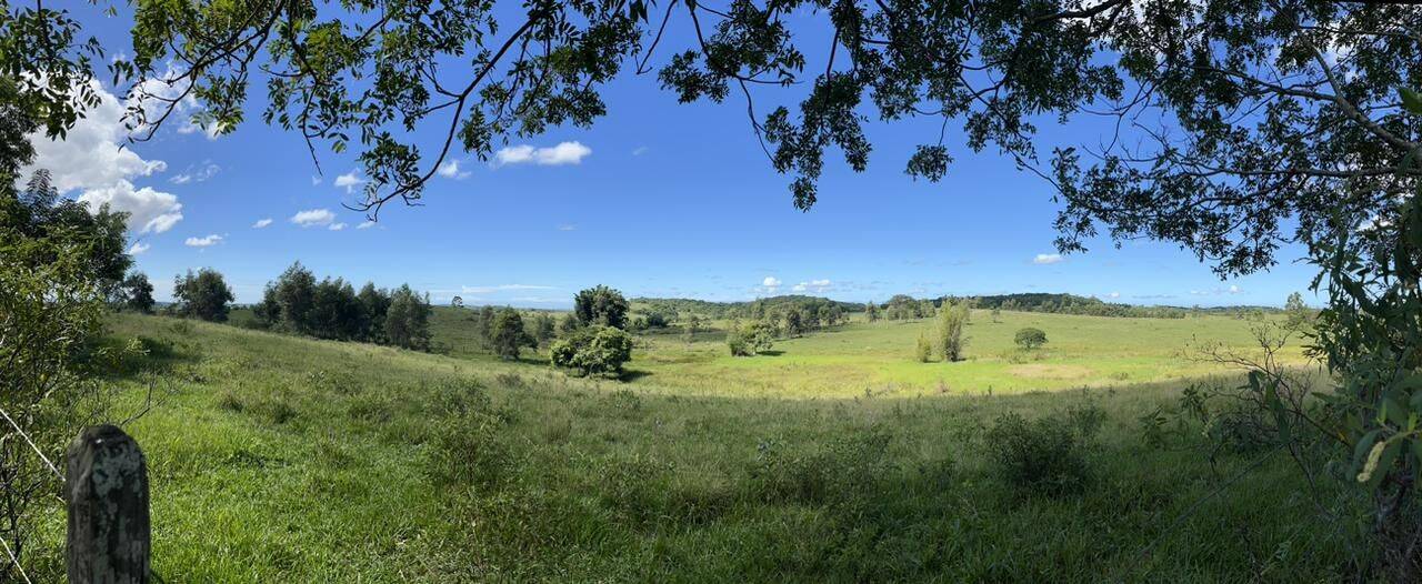 Terreno, 126 hectares - Foto 34