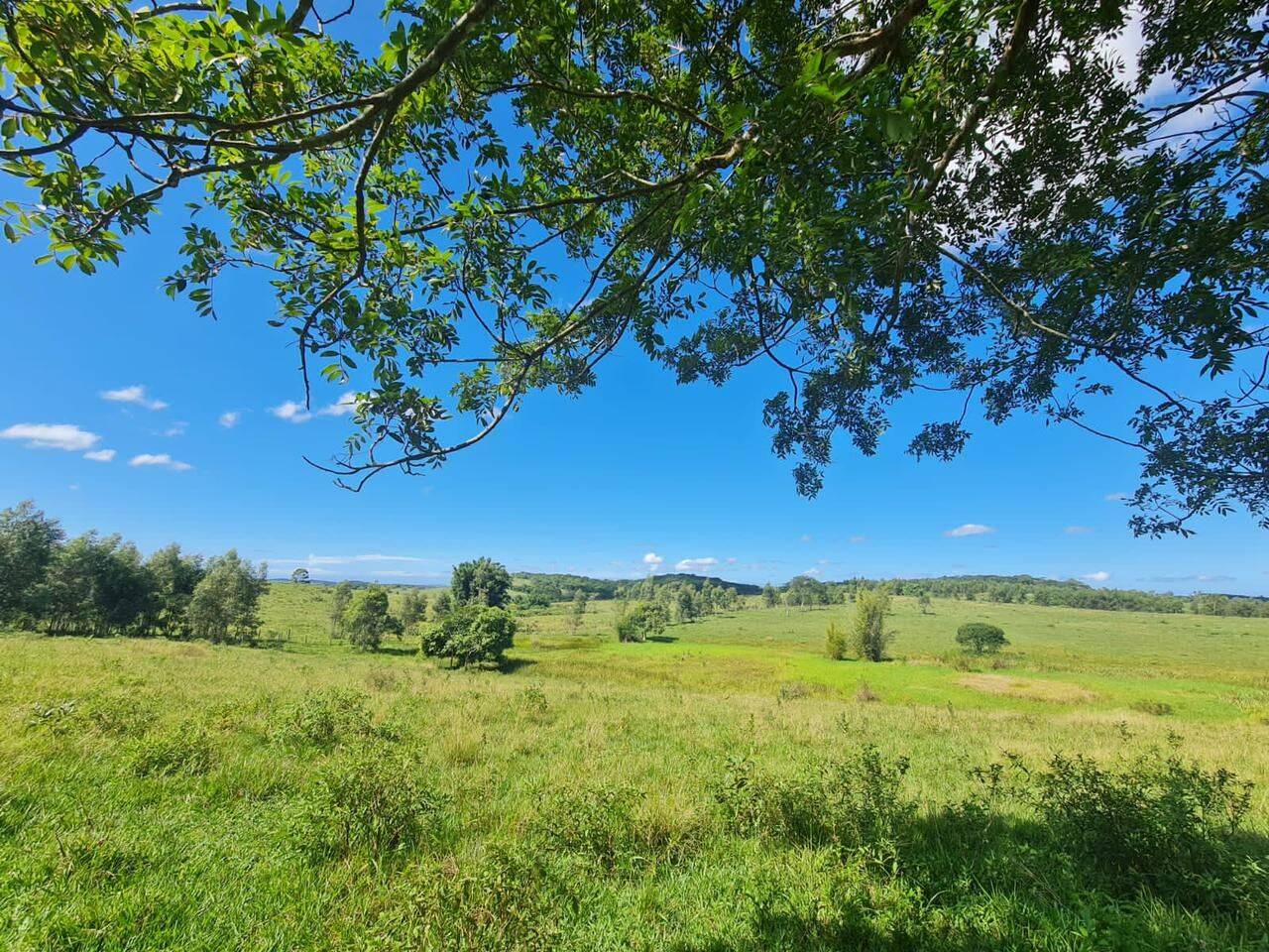 Terreno, 126 hectares - Foto 35