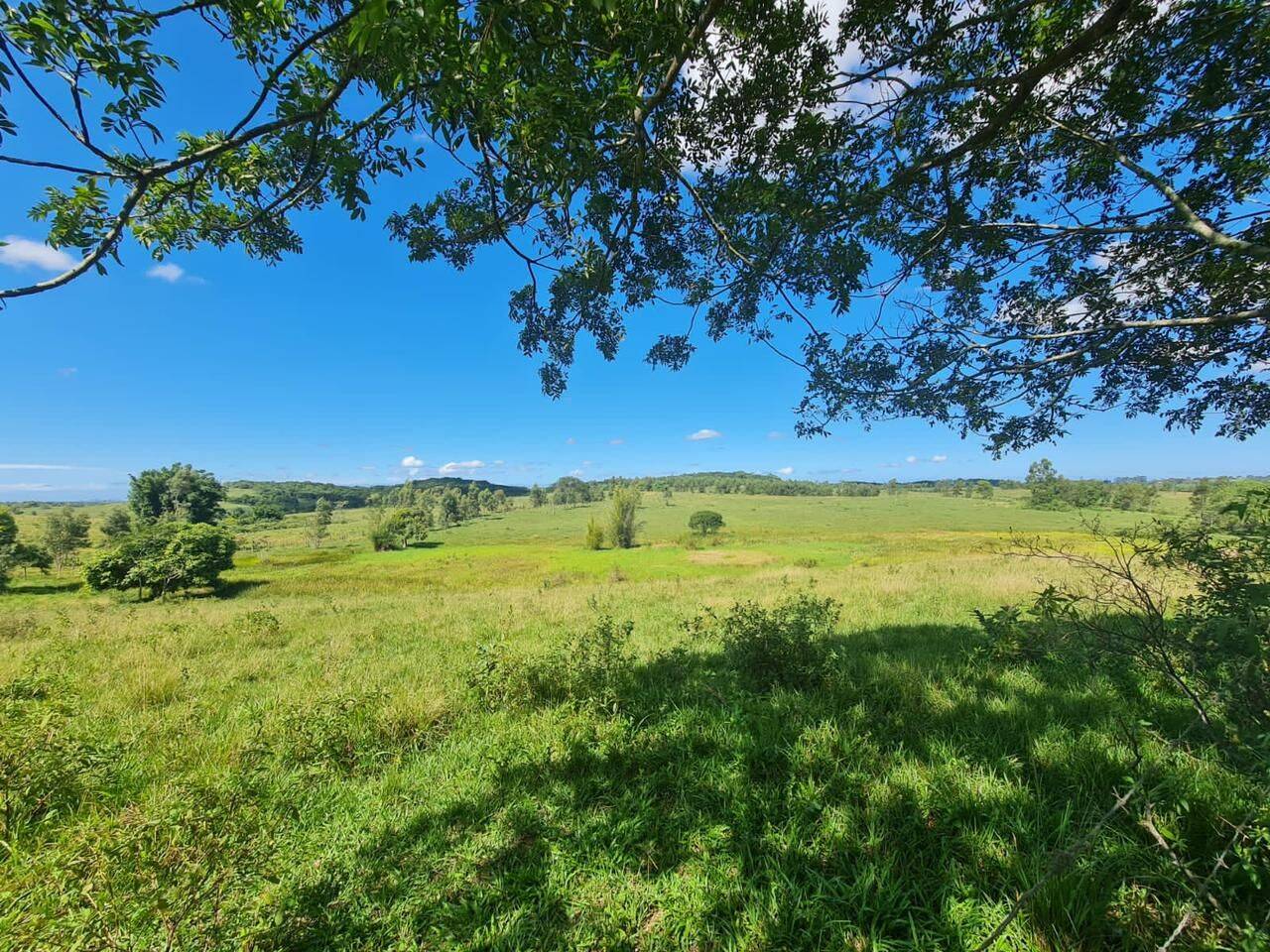 Terreno, 126 hectares - Foto 36