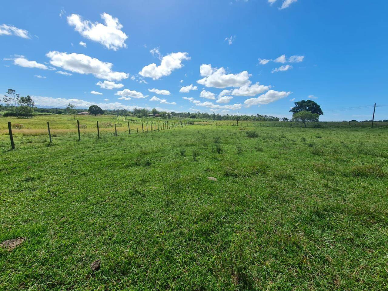 Terreno, 126 hectares - Foto 38