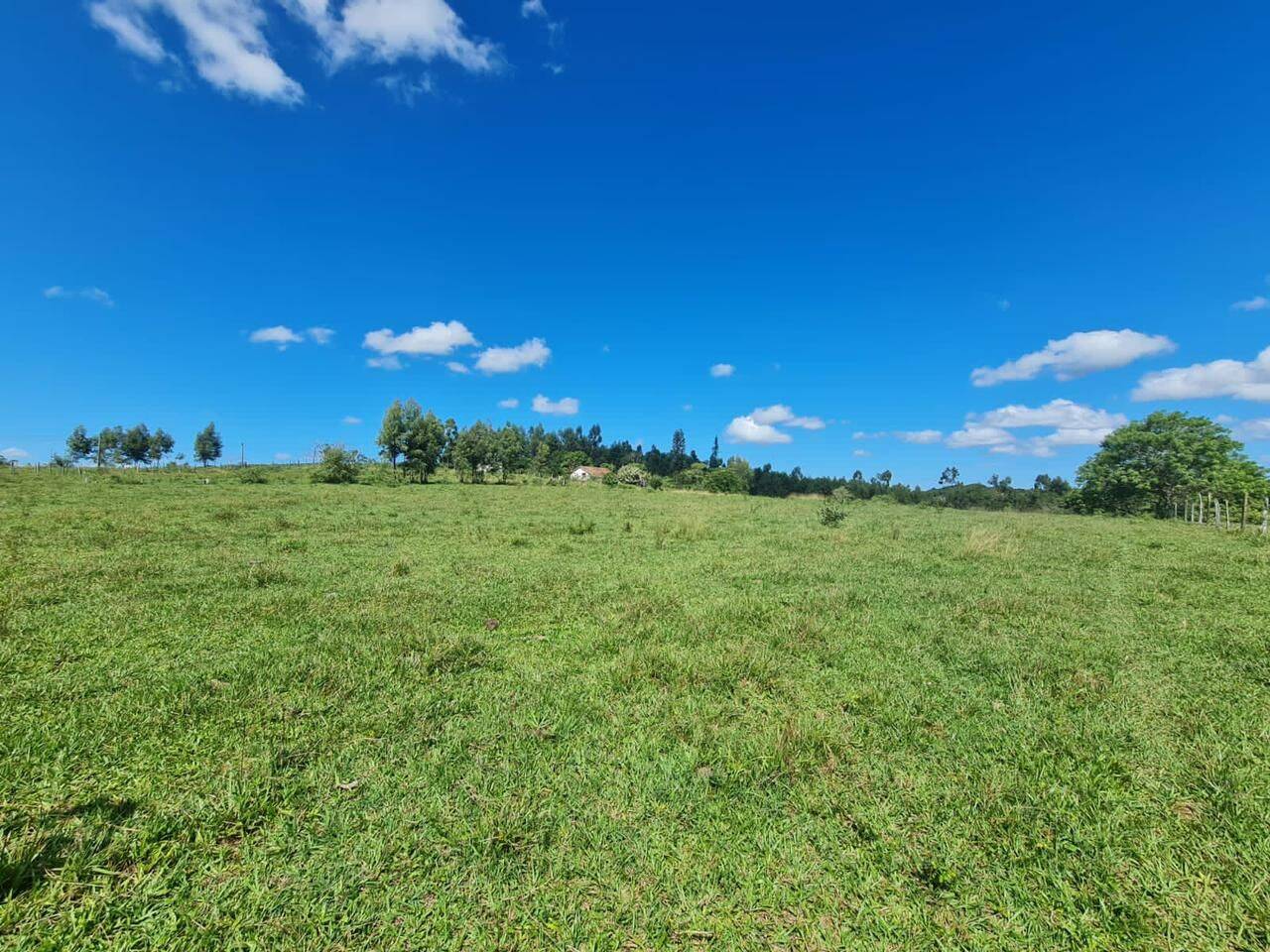 Terreno, 126 hectares - Foto 39