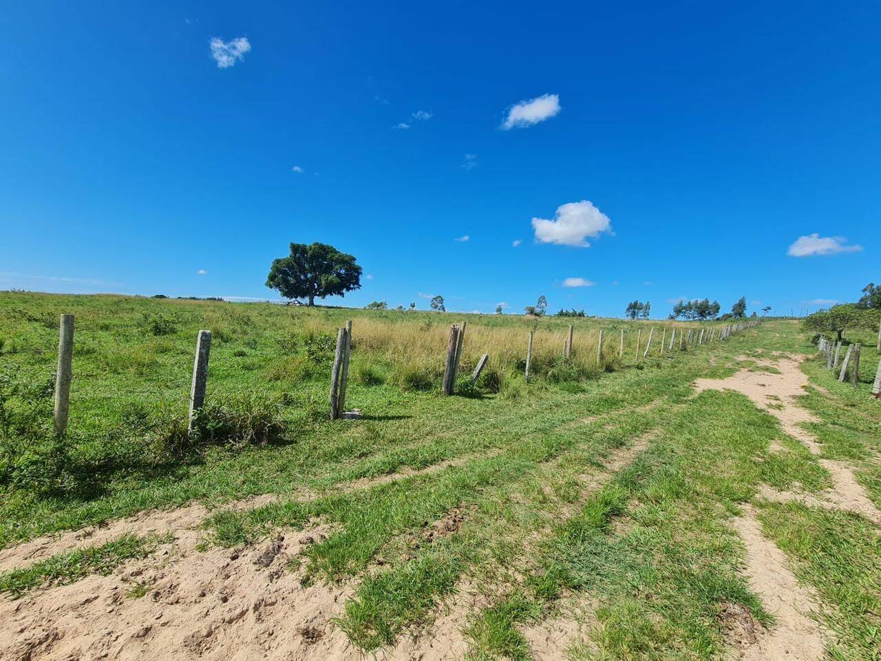 Terreno, 126 hectares - Foto 41