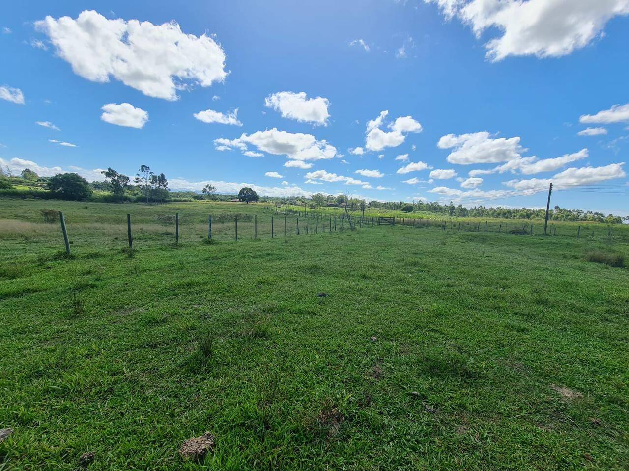 Terreno, 126 hectares - Foto 47