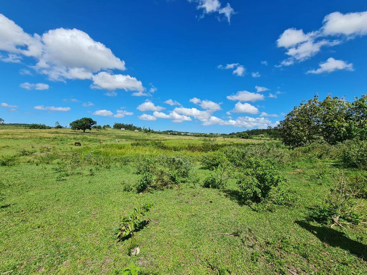Terreno, 126 hectares - Foto 48