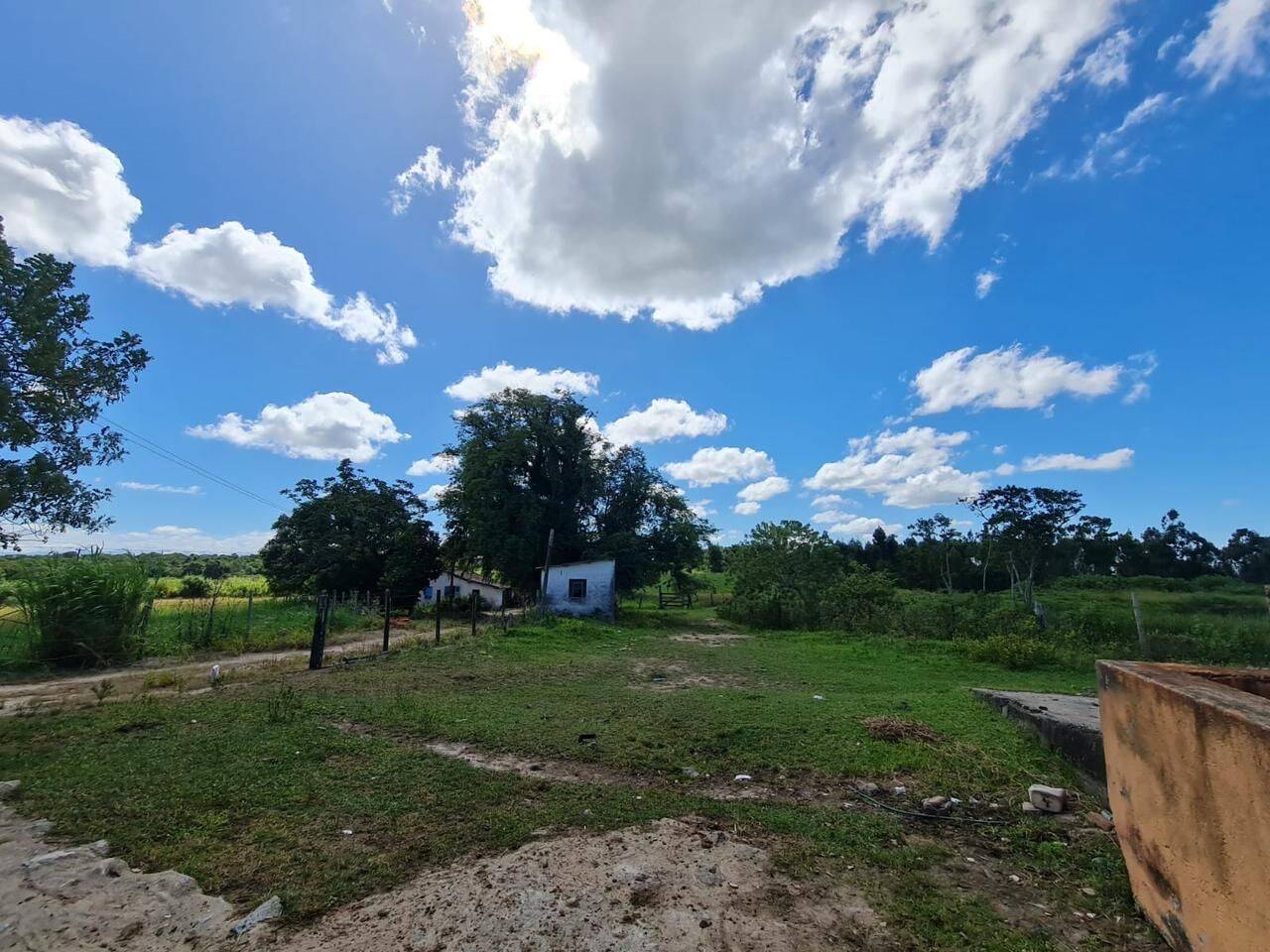 Terreno, 126 hectares - Foto 49