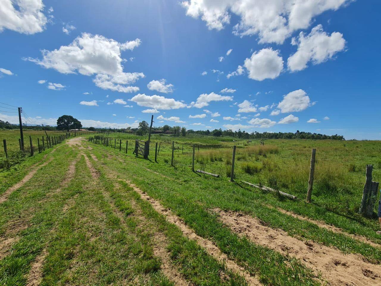 Terreno, 126 hectares - Foto 55