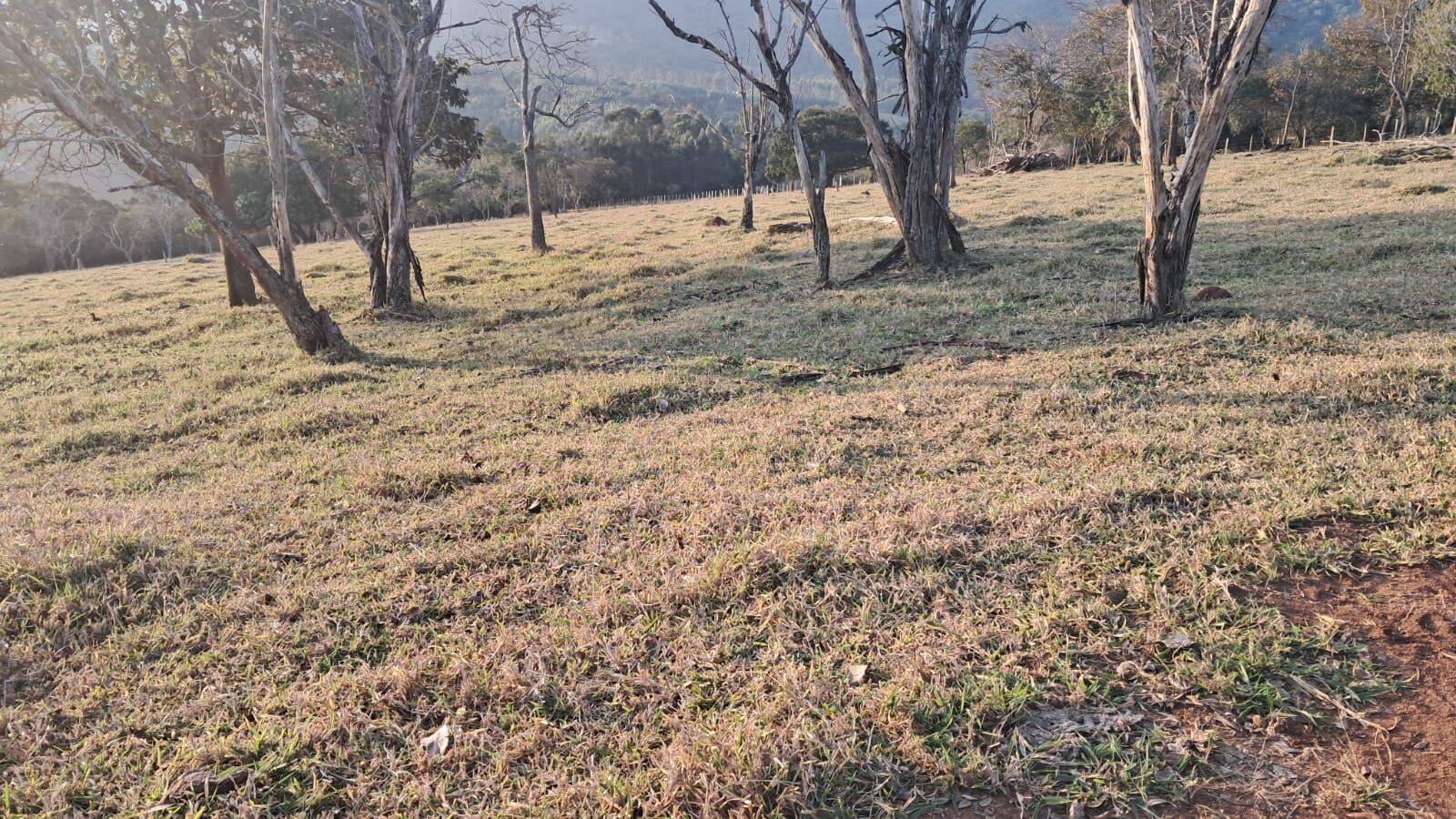 Sítio, 4 quartos, 6 hectares - Foto 12